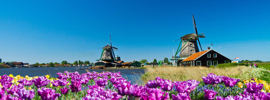 Top Solo Travel Deal No Single Supplement Dutch Tulip Time Cruise a Top Deal and Great Value